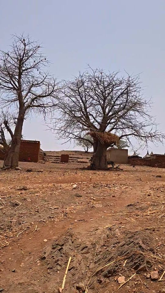 TikTok video thumbnail by mendyahbizzy