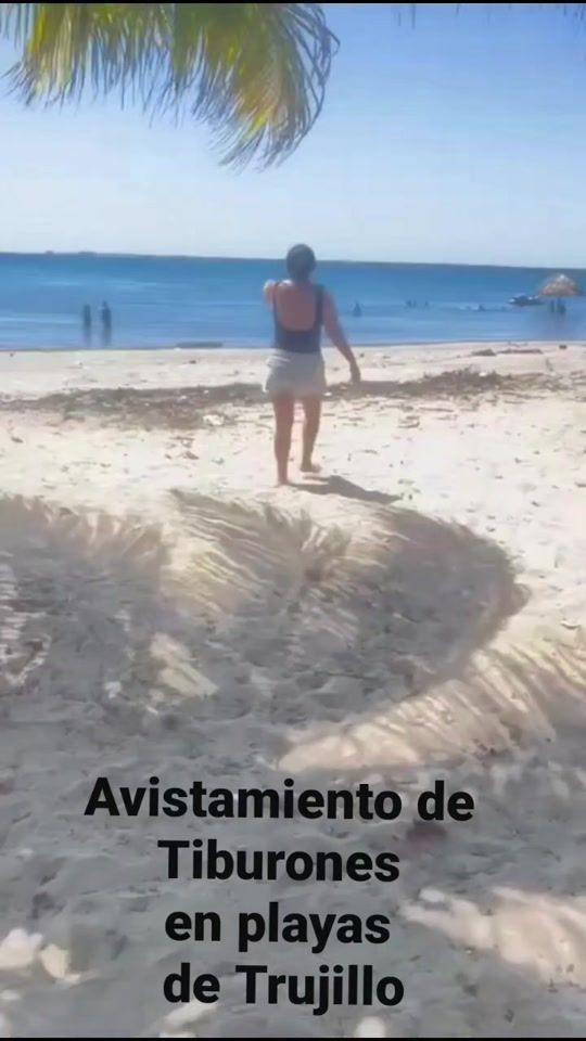 TikTok video thumbnail by lanzofiateosofia