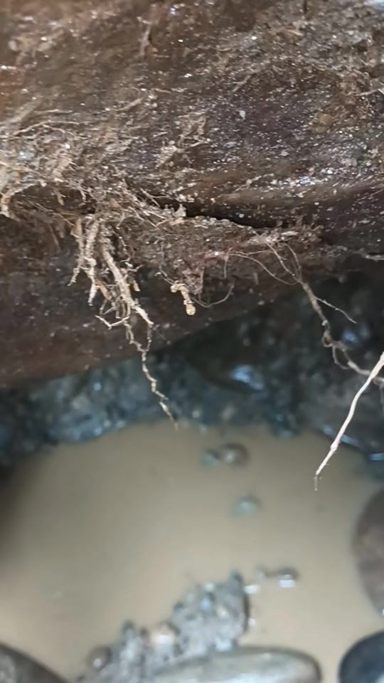 TikTok video thumbnail by jayamal9