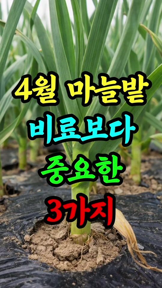 TikTok video thumbnail by geomyulfarm