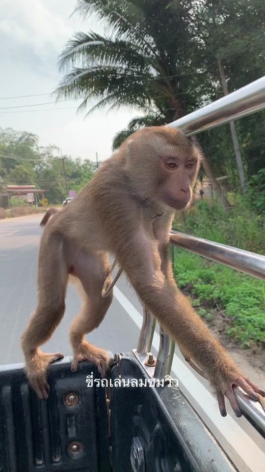 TikTok video thumbnail by sopeoplearedown