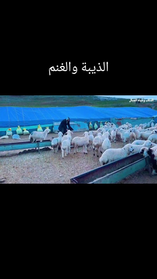 TikTok video thumbnail by ayad.elcaar