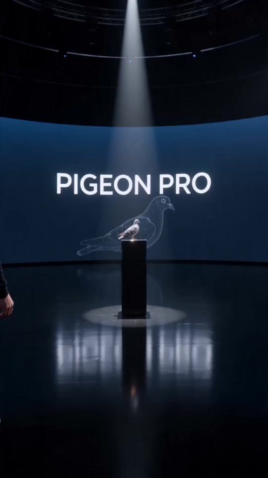 TikTok video thumbnail by sapegioo