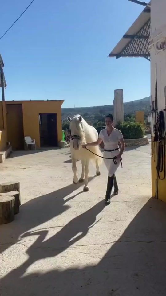 TikTok video thumbnail by ah.nablus