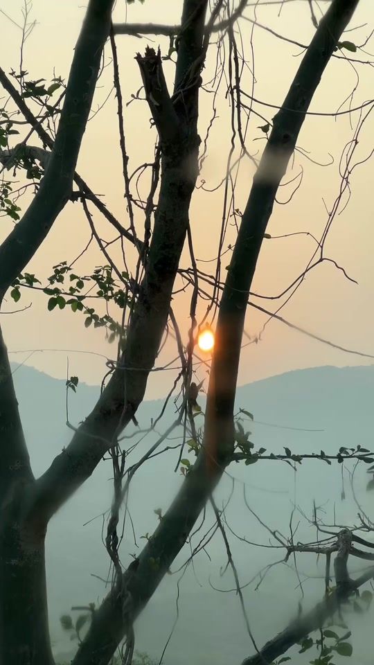 TikTok video thumbnail by tayibalfal_1989