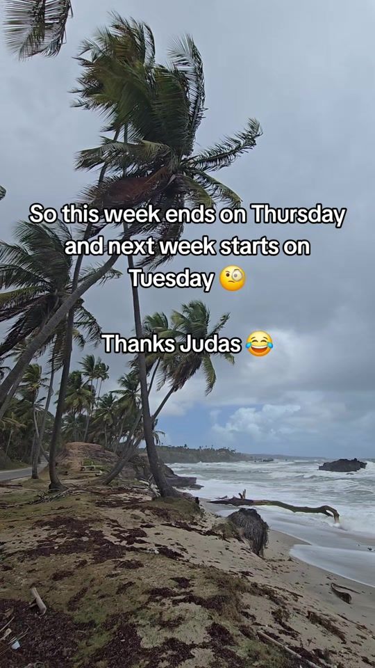 TikTok video thumbnail by selina_basdeo