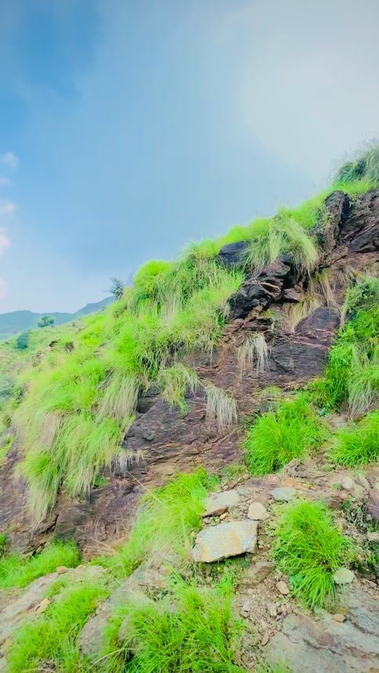 TikTok video thumbnail by zeesho04