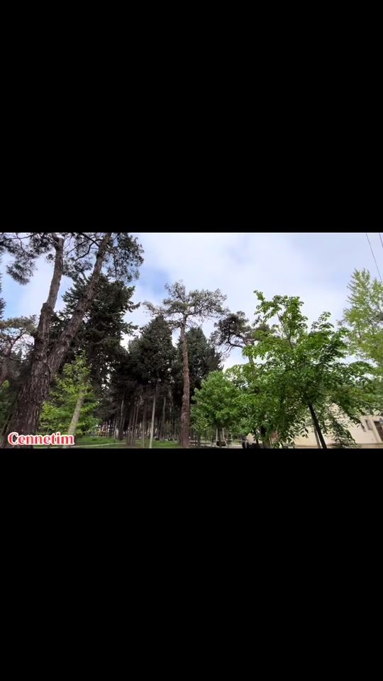 TikTok video thumbnail by v.u.q.a.r.385