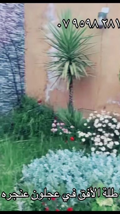 TikTok video thumbnail by saqry_arar