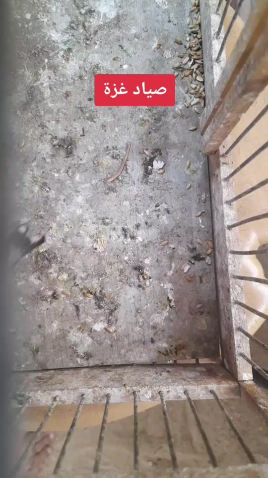 TikTok video thumbnail by yousef_mansur