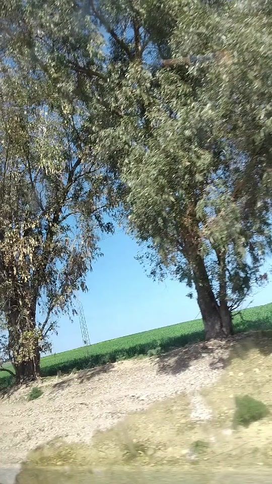 TikTok video thumbnail by tifatifa034