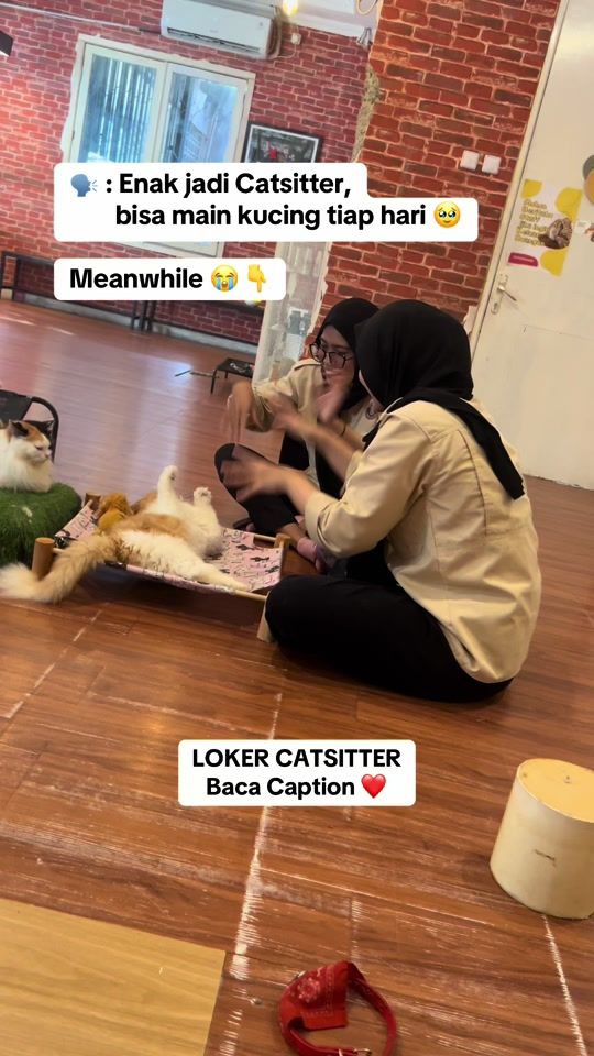 TikTok video thumbnail by circuloo