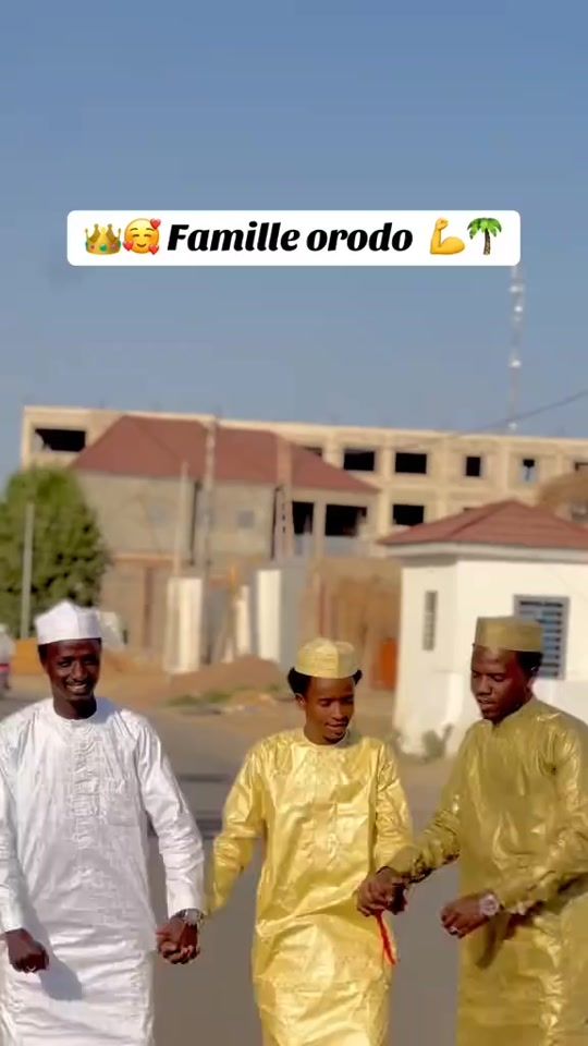 TikTok video thumbnail by sultan__du__kanem__