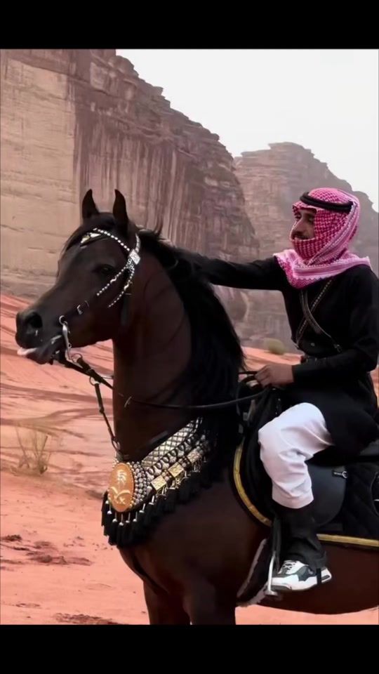 TikTok video thumbnail by kasm6530vky