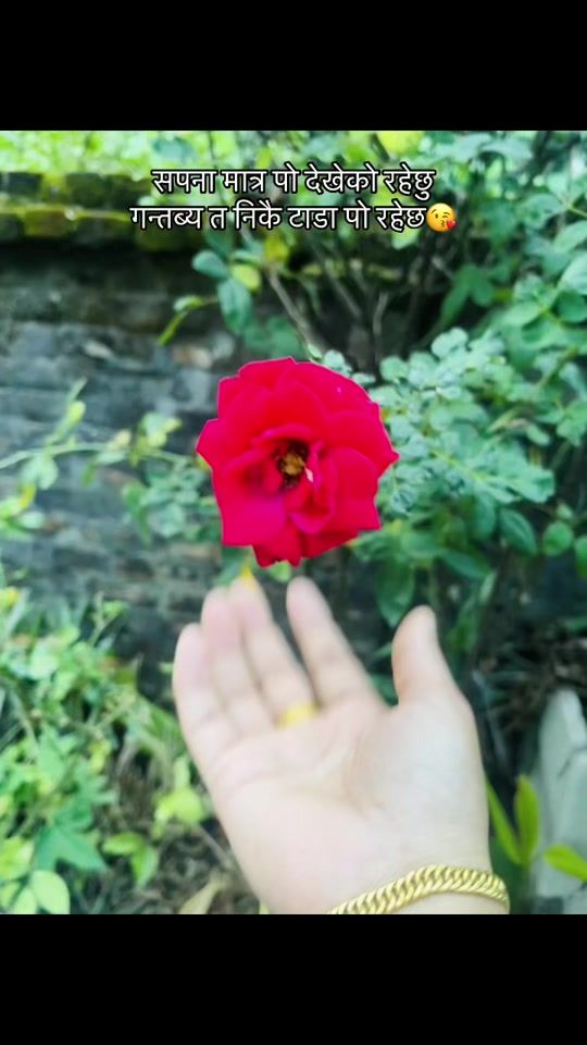 TikTok video thumbnail by bina_mgr