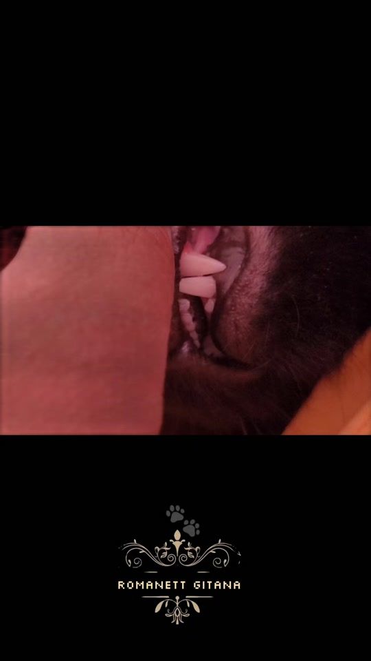 TikTok video thumbnail by romanett_gitana