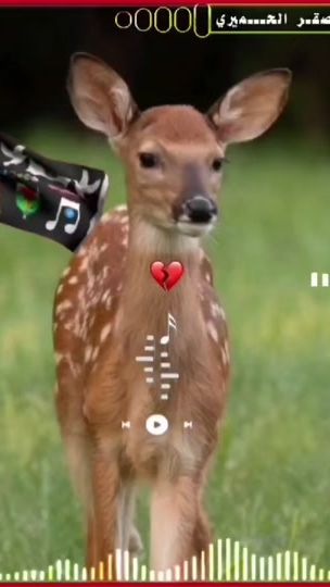 TikTok video thumbnail by .71138890