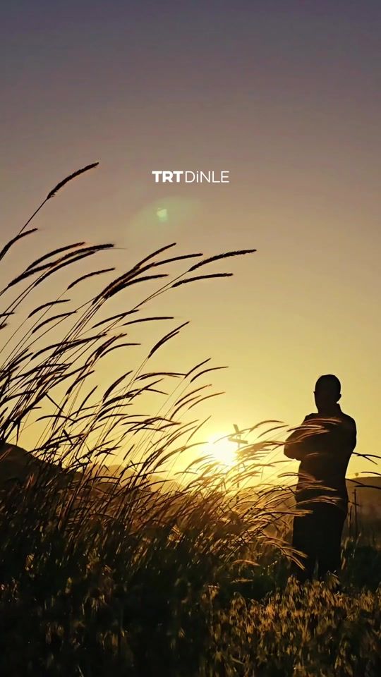 TikTok video thumbnail by trtdinle