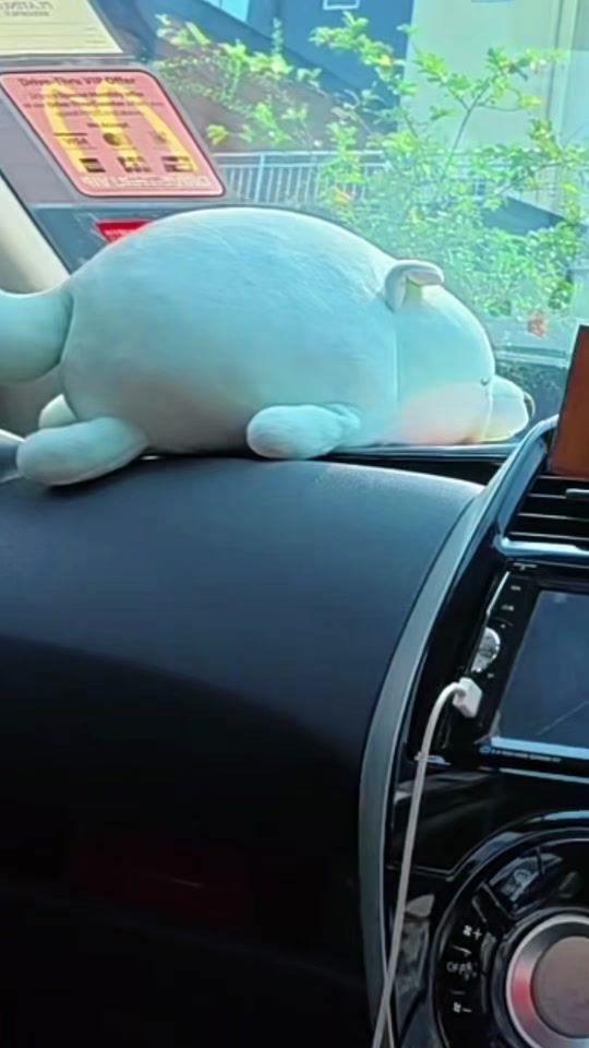 TikTok video thumbnail by eldenchan17