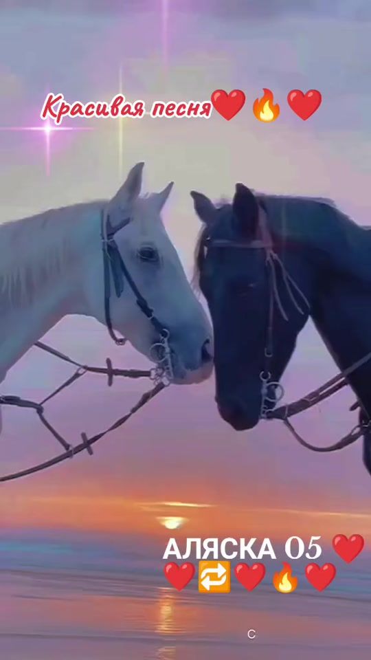 TikTok video thumbnail by alaska_05
