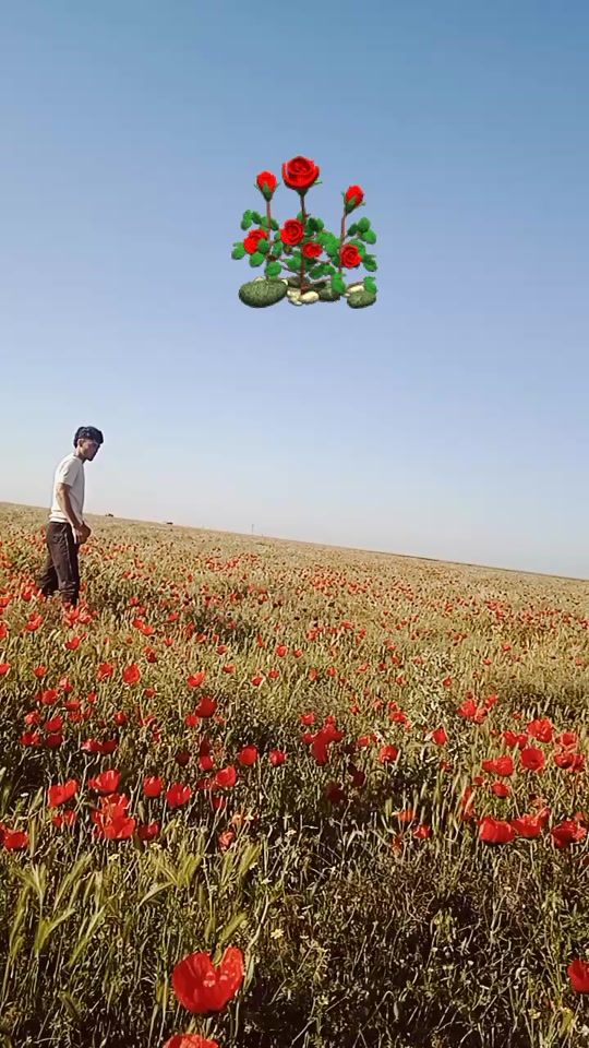 TikTok video thumbnail by muslim02.m2
