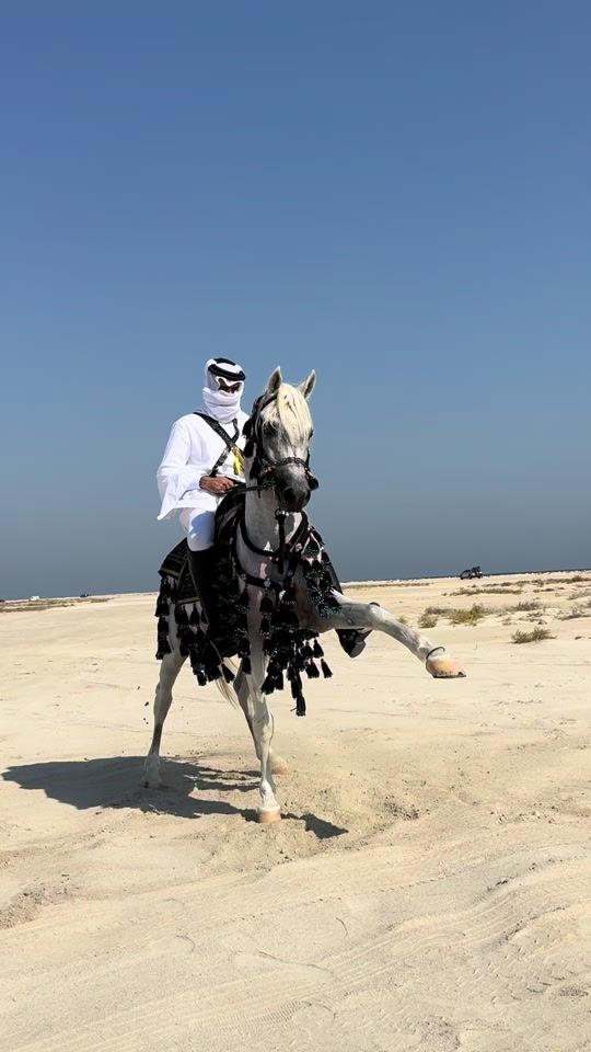 TikTok video thumbnail by adnan94944
