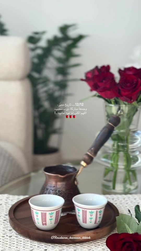 TikTok video thumbnail by roudeinakanaan