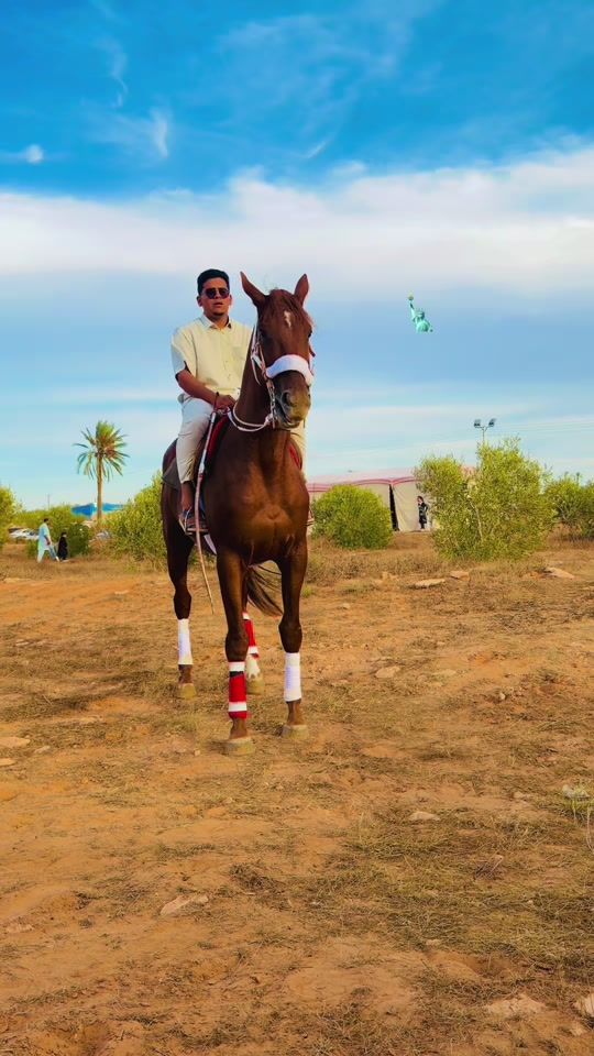 TikTok video thumbnail by al.tomei