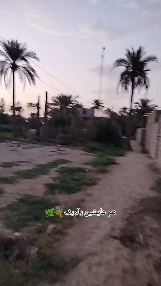 TikTok video thumbnail by 2l22l