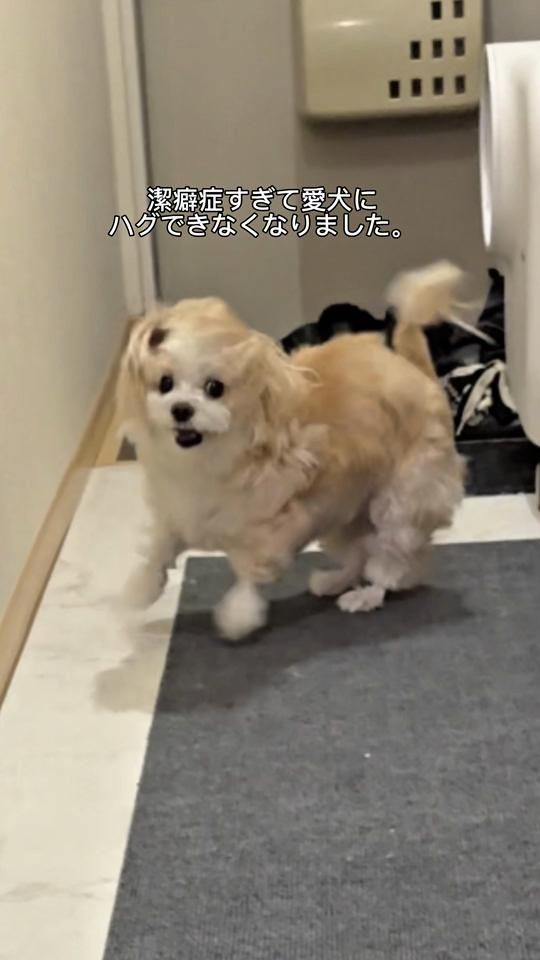 TikTok video thumbnail by soa.ta