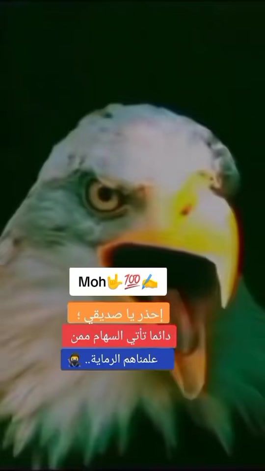 TikTok video thumbnail by mohmohamed753