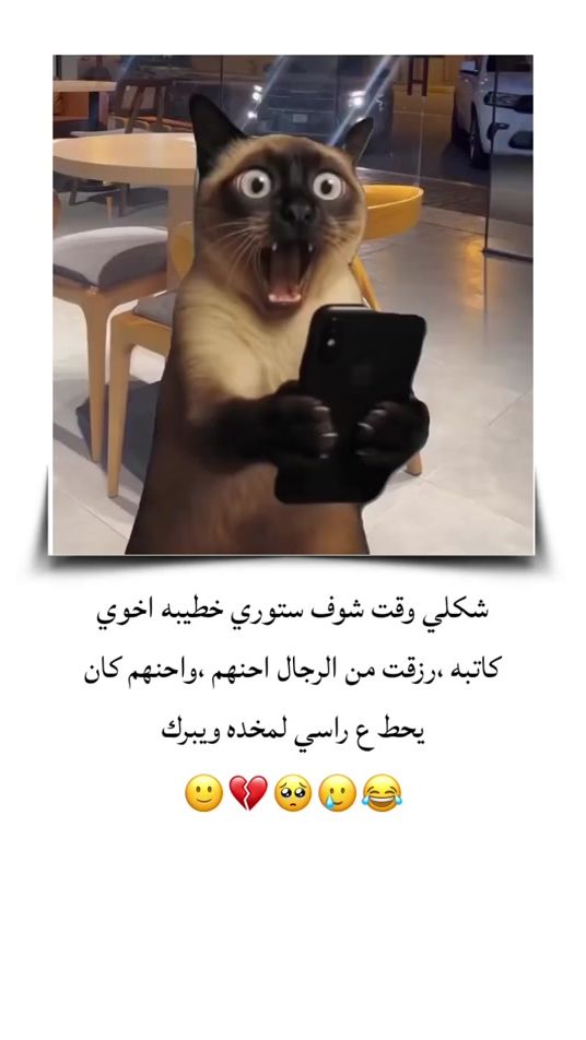 TikTok video thumbnail by sa_____9976
