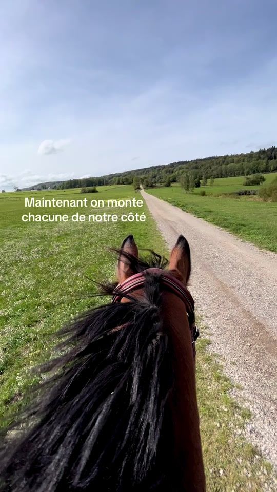 TikTok video thumbnail by elisa.377