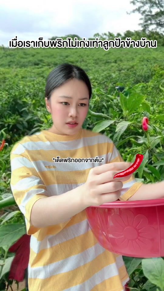 TikTok video thumbnail by jubjib_channel