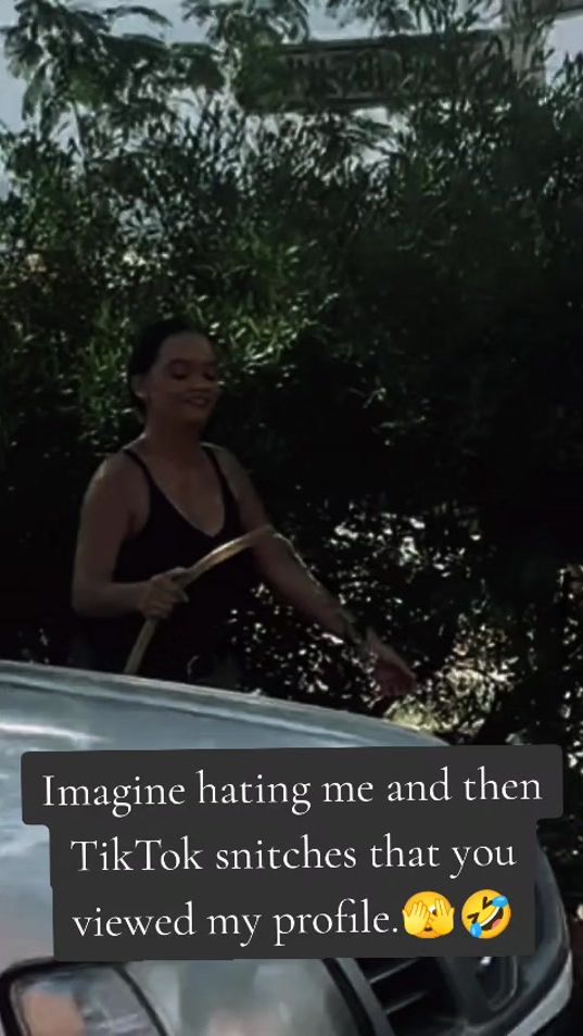 TikTok video thumbnail by misslmb1