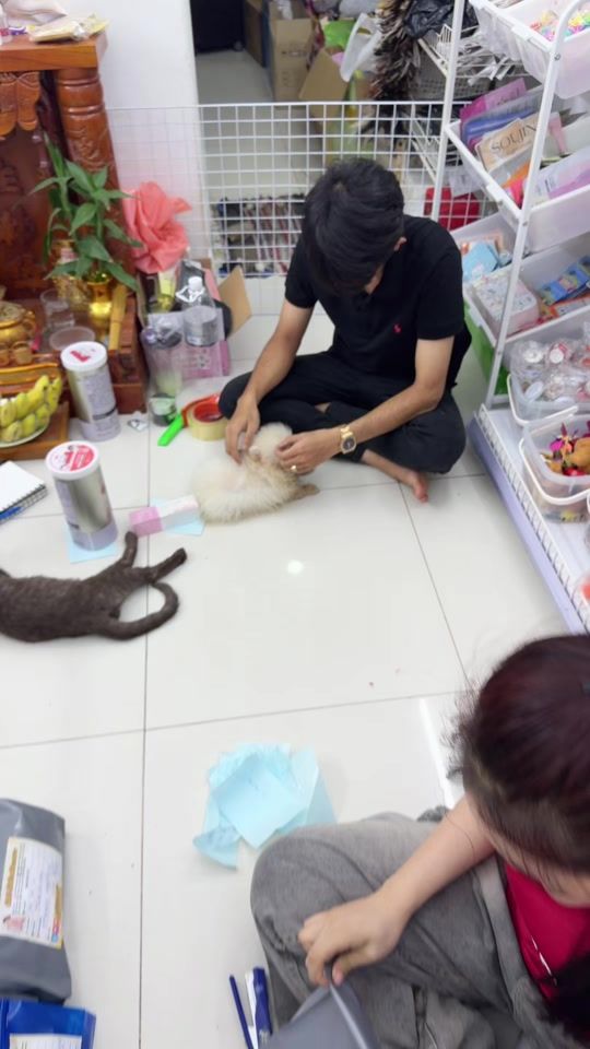 TikTok video thumbnail by chiishop_skincare