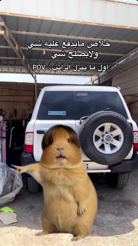 TikTok video thumbnail by buwdima