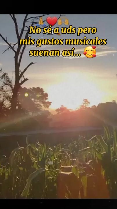 TikTok video thumbnail by lilisut5