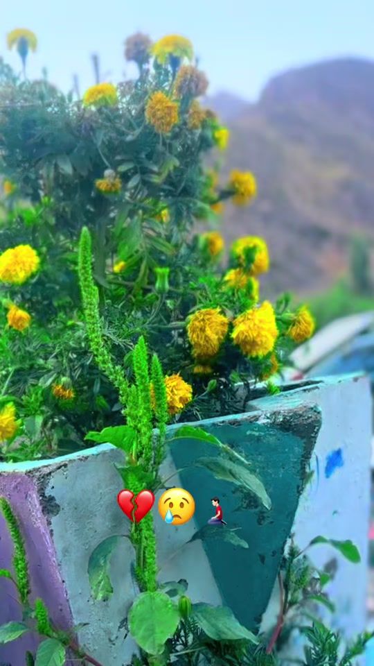 TikTok video thumbnail by general_shirzad
