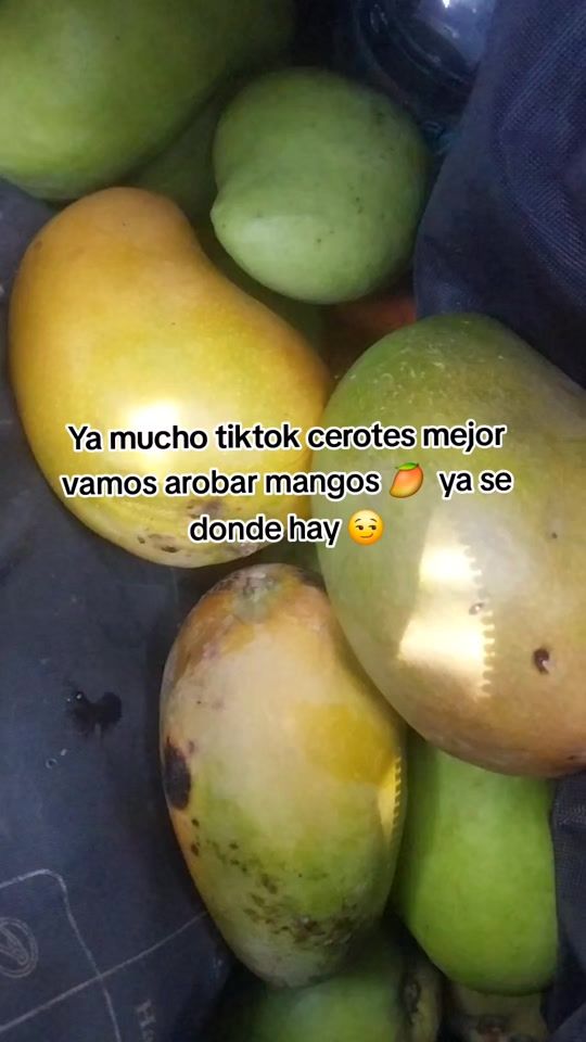 TikTok video thumbnail by .gabi502