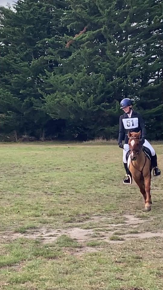 TikTok video thumbnail by ginger.theponyequestrian