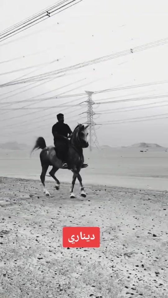 TikTok video thumbnail by ah.nablus