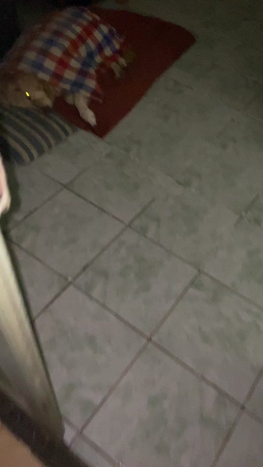 TikTok video thumbnail by mustafacito_chef