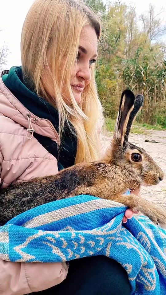 TikTok video thumbnail by marinanovikova114