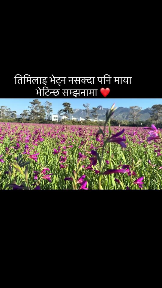 TikTok video thumbnail by __anzu5