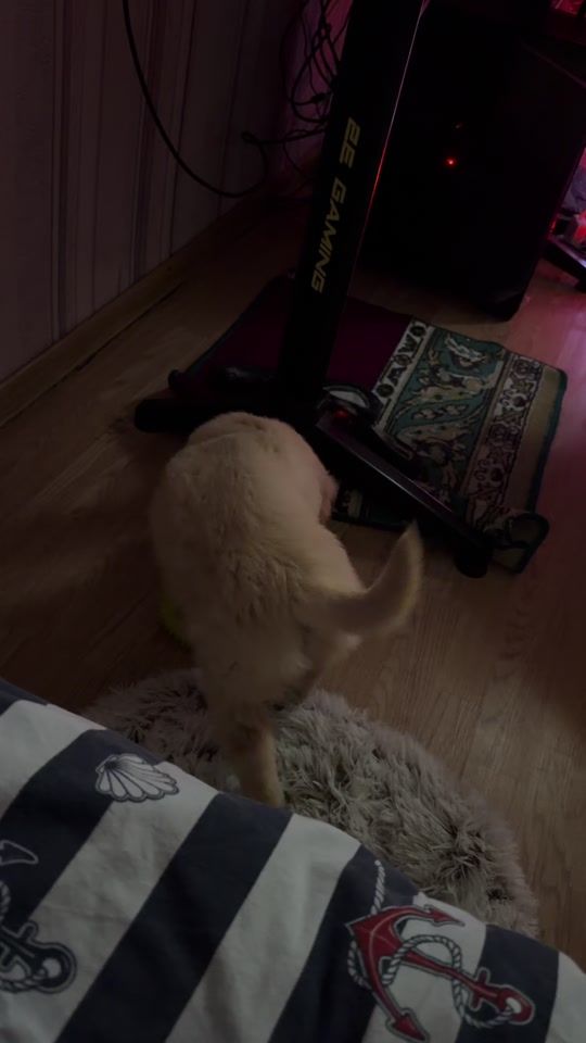 TikTok video thumbnail by kenan777.0