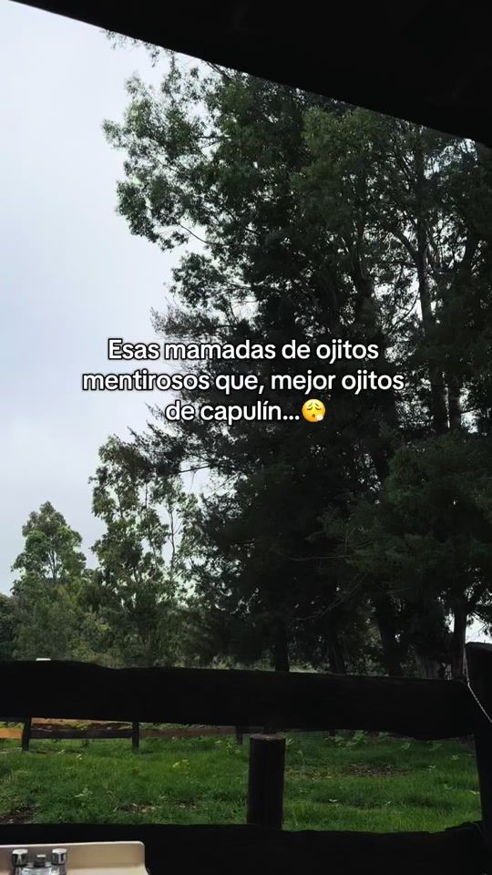 TikTok video thumbnail by stephany5697