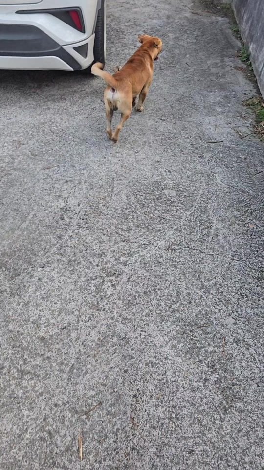 TikTok video thumbnail by darkknight46lex