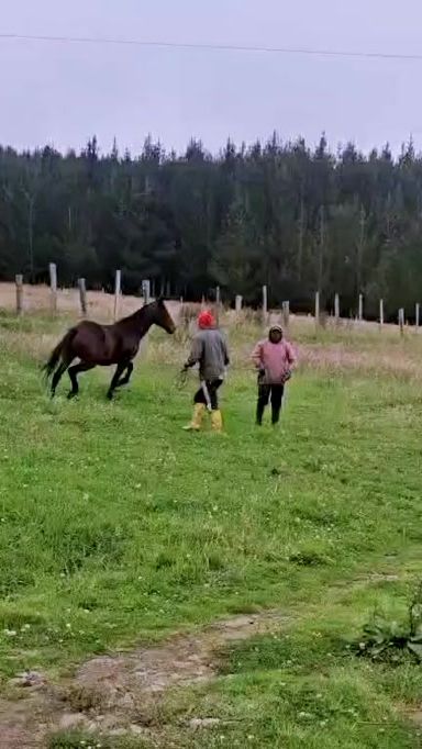 TikTok video thumbnail by liliml_22