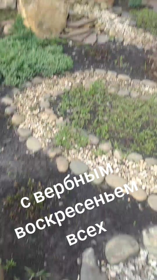 TikTok video thumbnail by user61353193021800